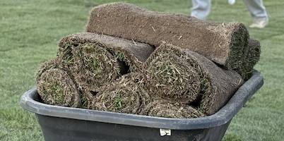 Rolled sod stacked in a wheelbarrow