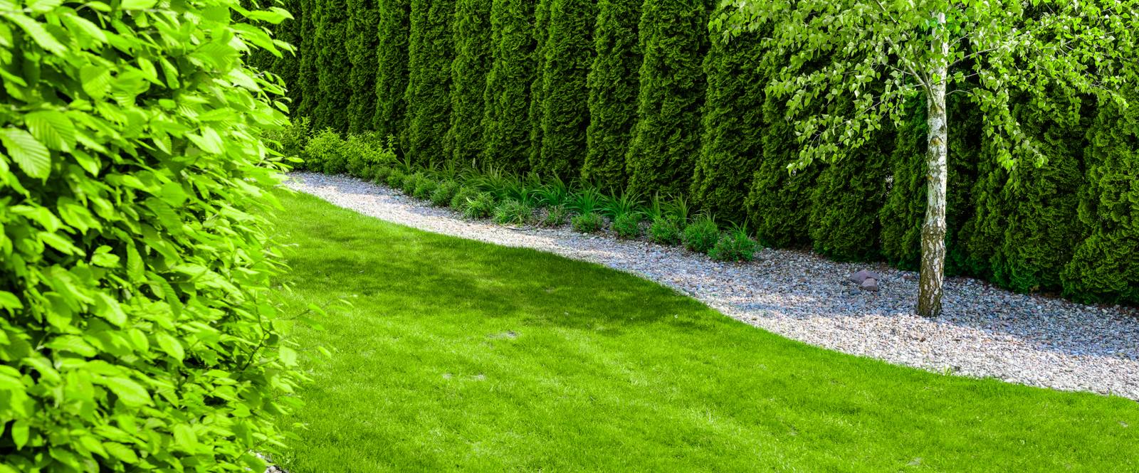 Freshly trimmed grass with curved pebble border