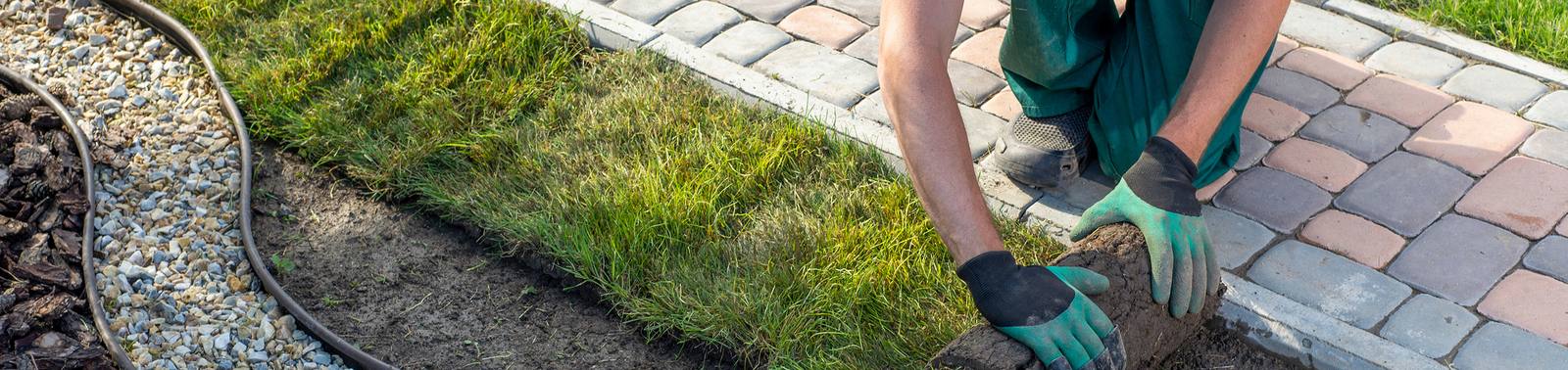Landscape worker installing new sod