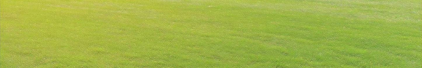 Empty bright green lawn with curved shape
