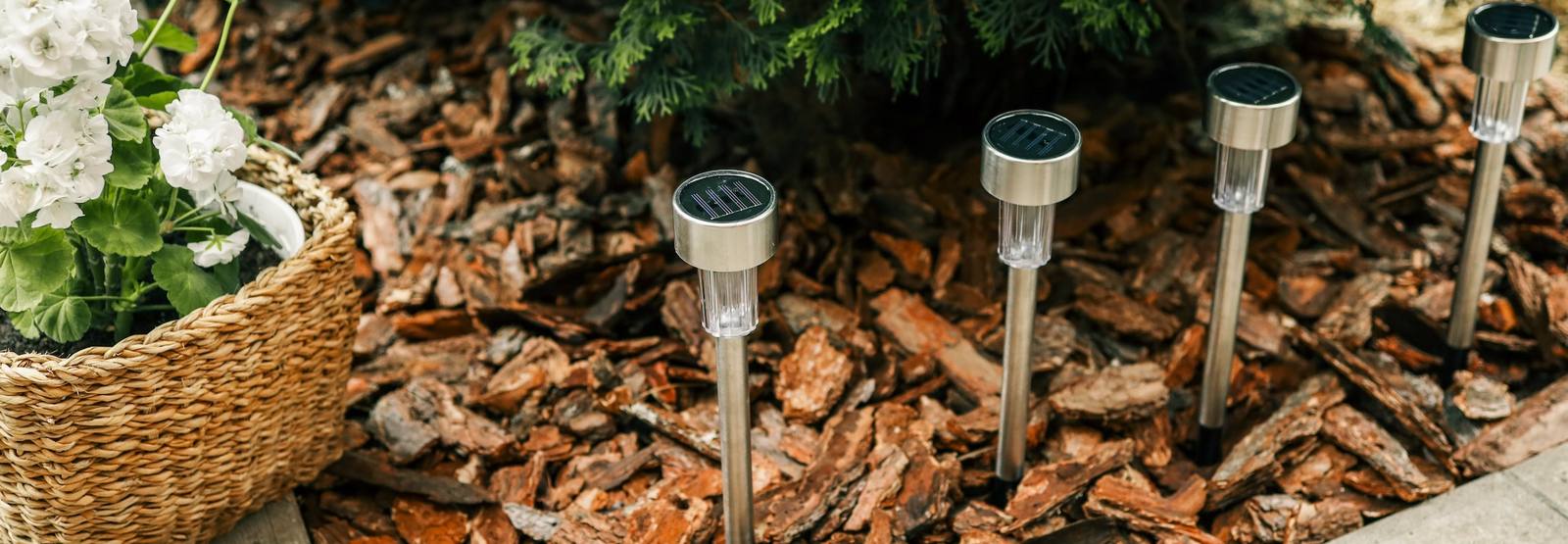 Two landscape lighting fixtures in mulch bed