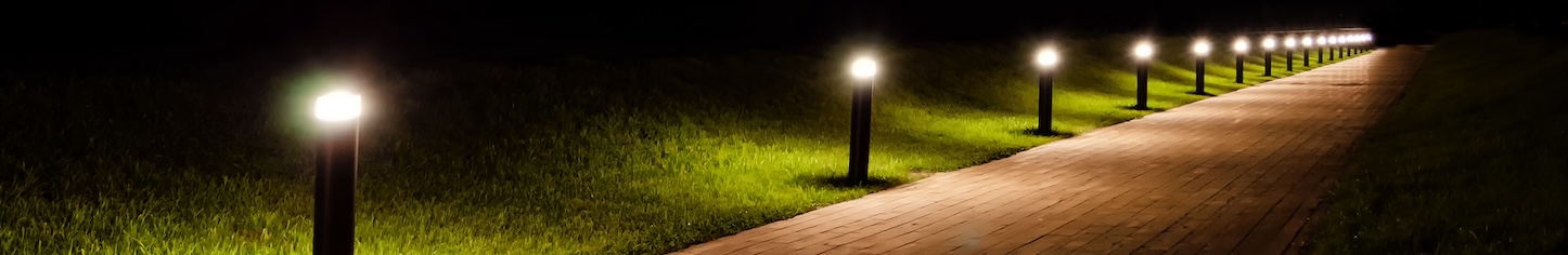 Path lights illuminating a lawn at night