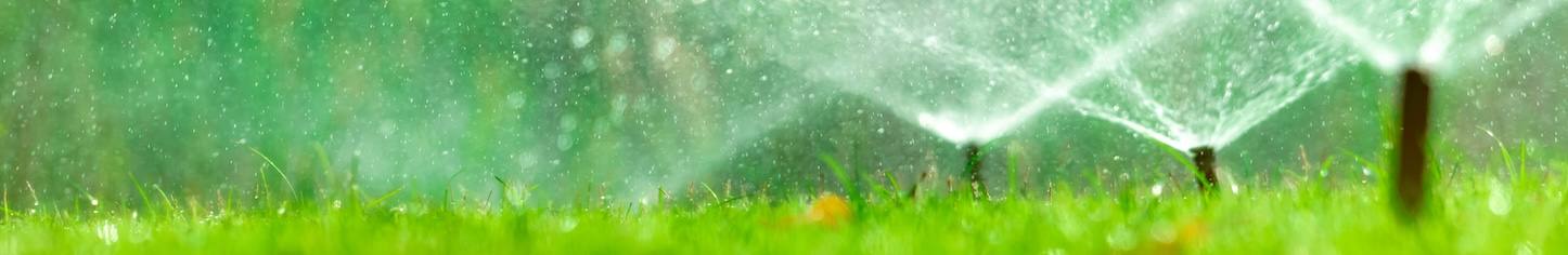 Vibrant abstract green graphic (possibly used as a banner)