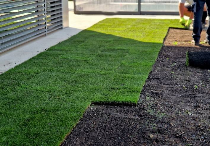 Sod partially installed in modern backyard