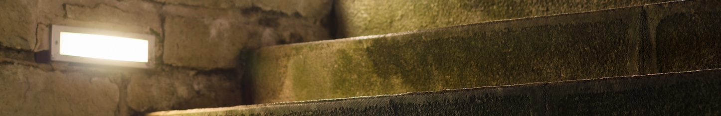 Natural stone steps leading to a garden