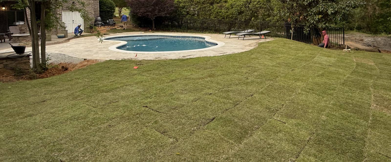 Backyard lawn near pool with fresh sod installation