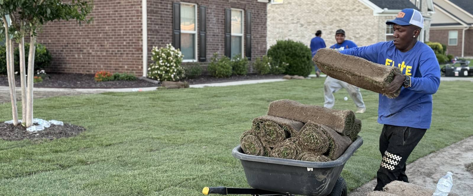 Sod placed in residential front lawn