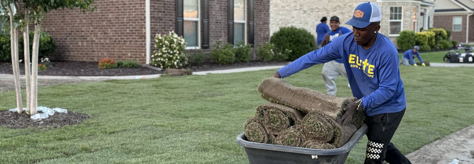 Lawn care worker placing fresh sod in front yard