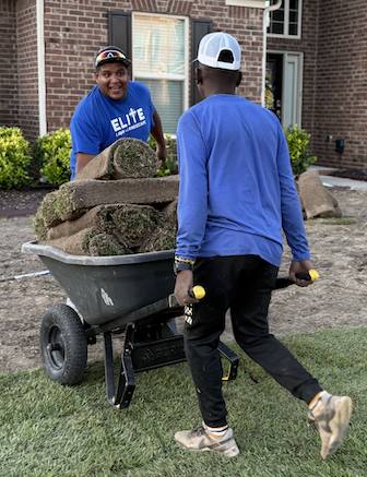 Crew transporting sod using wheelbarrow