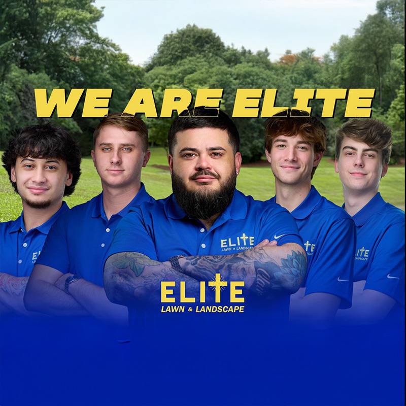 Elite Lawn promotional graphic with team members