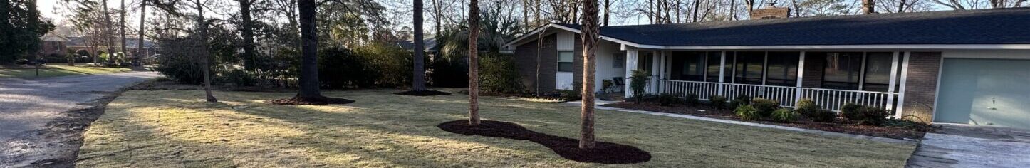 Residential backyard with mature trees and lawn