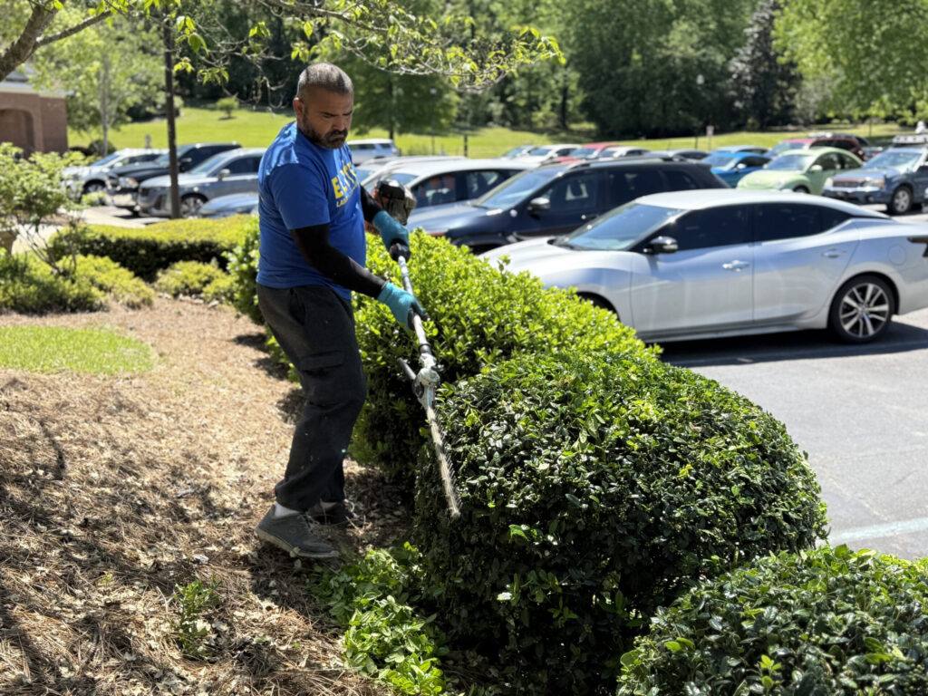 HP Landscaping