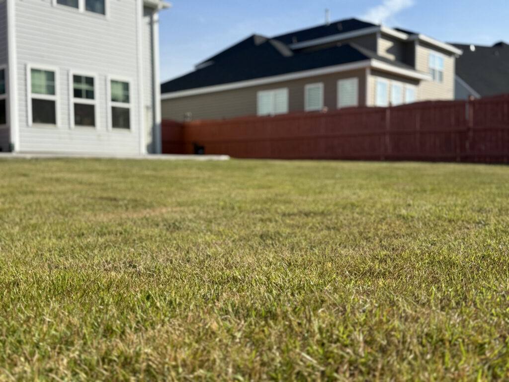HP Lawn Maintenance