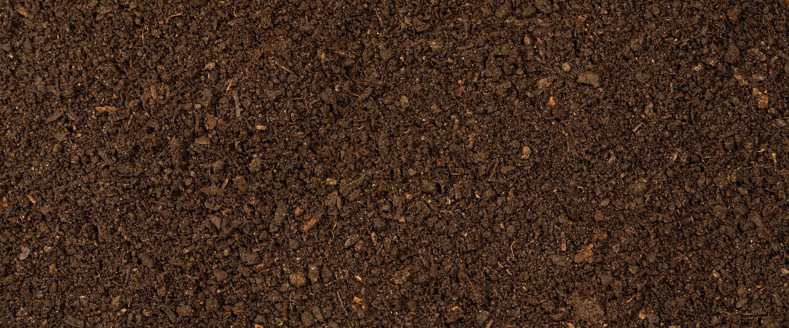 elite website images (3)